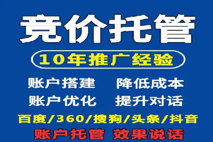 某某SEM团队成功案例：广告投放策略揭秘
